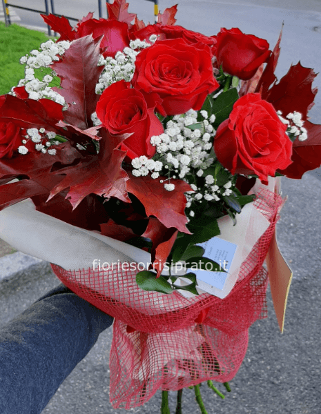 Mazzo di 9 rose rosse a gambo lungo con gypsophila