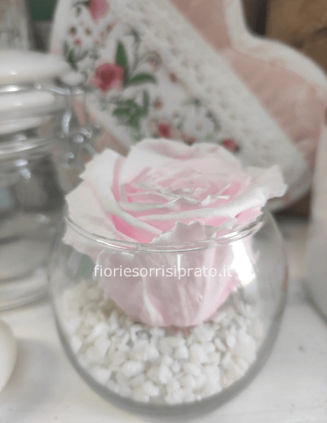 Rosa stabilizzata in vaso di vetro - Fioreria Flavia e Marco