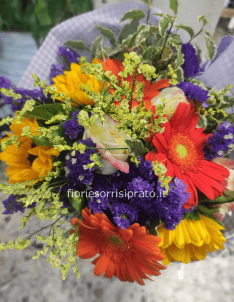 BOUQUET COMETA