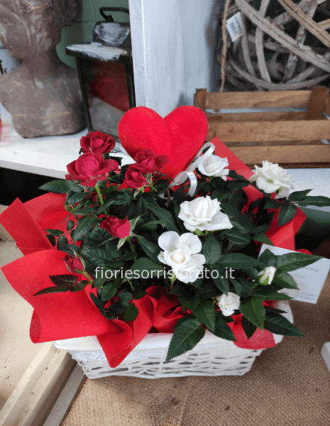 Composizione con piante di rose