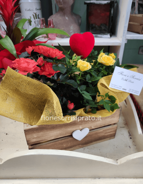 Composizione con piante di rose