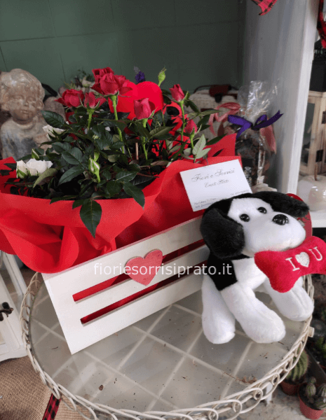 Composizione di piante di rose