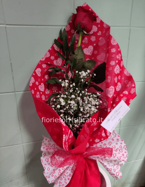 ROSA ROSSA A GAMBO LUNGO 