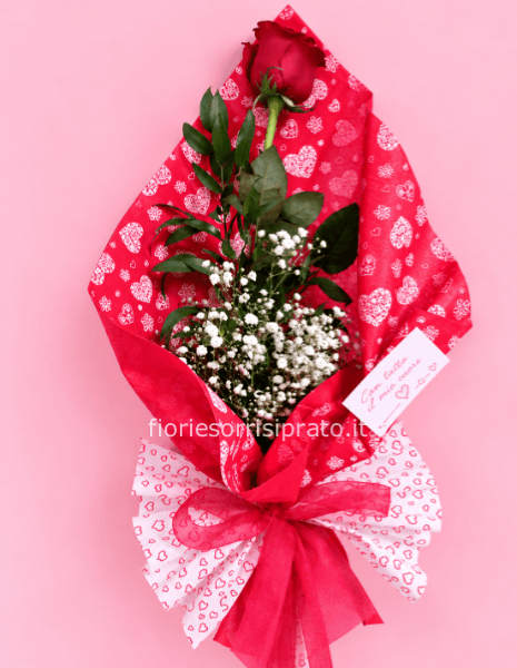 ROSA ROSSA A GAMBO LUNGO