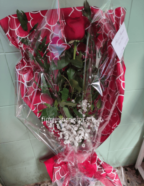 ROSA ROSSA GAMBO LUNGO 2