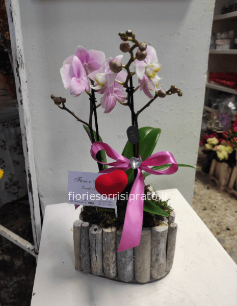 Orchidea con cestino a cuore