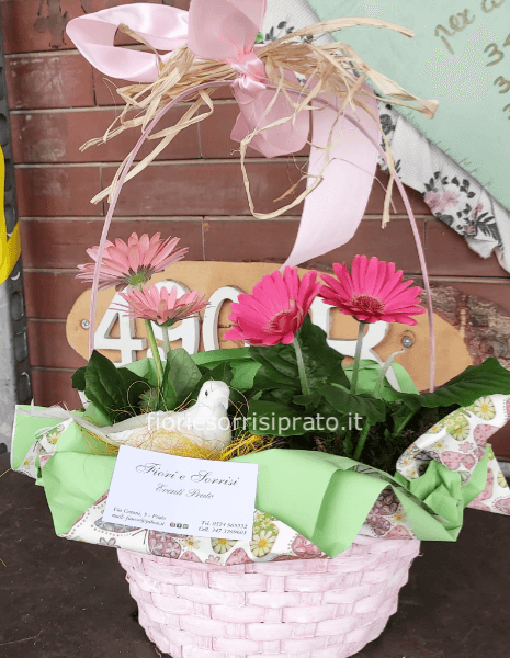 Cestino con piante fiorite