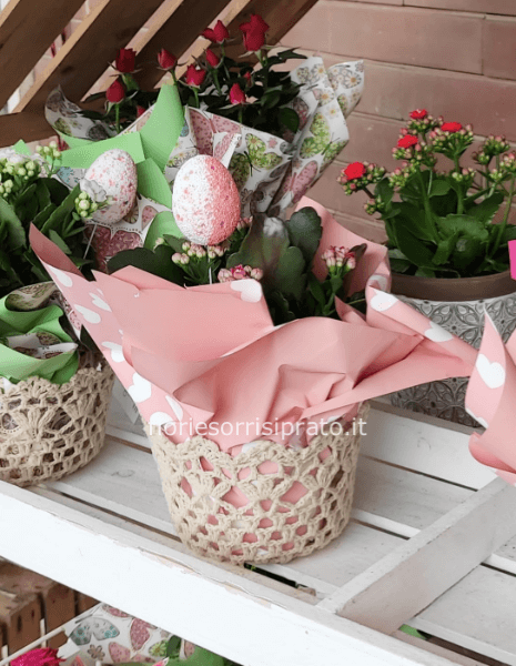 Cestino con pianta fiorita