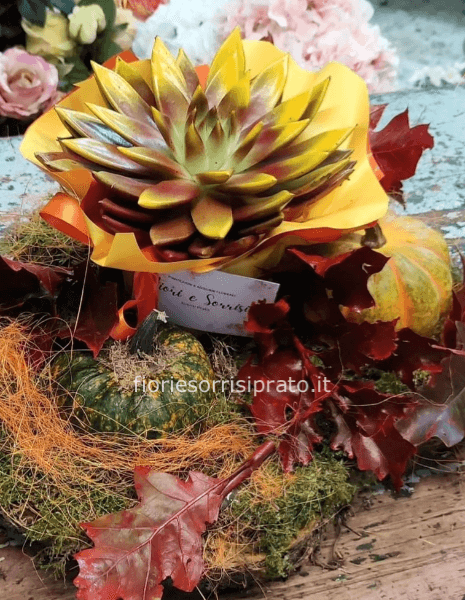 Centro tavola autunnale con zucche