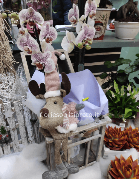 Lanterna con orchidea e decorazione 