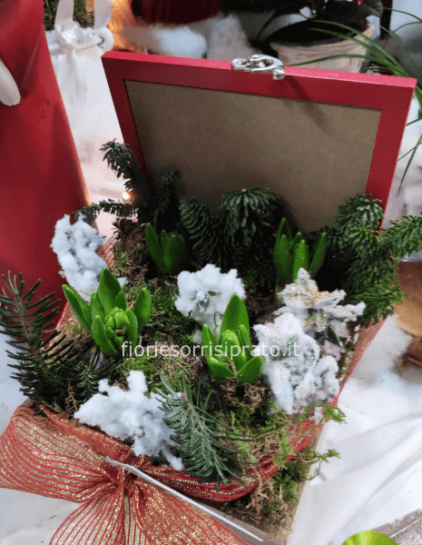 Scatola porta the con bulbi