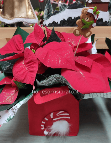 cestino con stella piccola