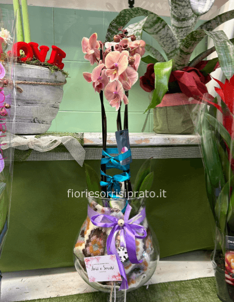 Orchidea con vaso di vetro