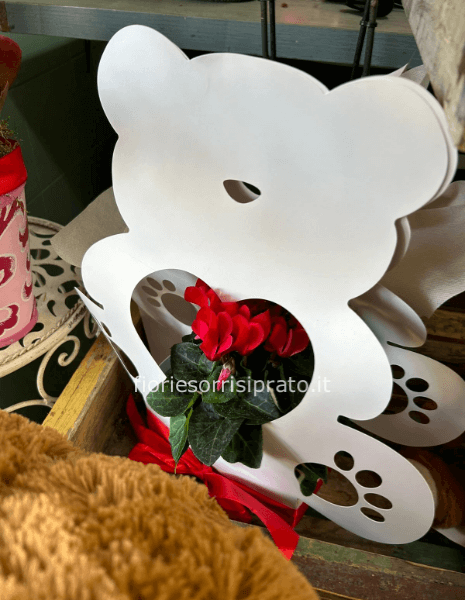 Scatola con orsetto e pianta di ciclamino 