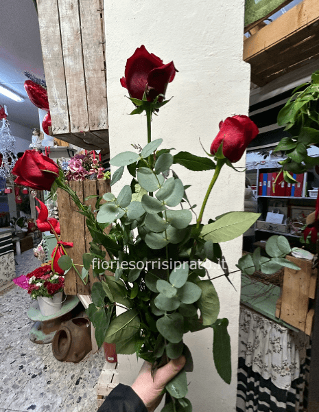 3 ROSSE ROSSE A GAMBO LUNGO CONFEZIONATE