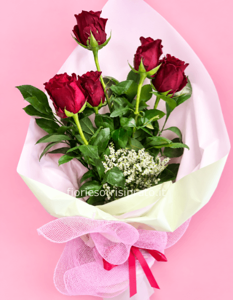 5 ROSE ROSSE A GAMBO LUNGO CONFEZIONATE