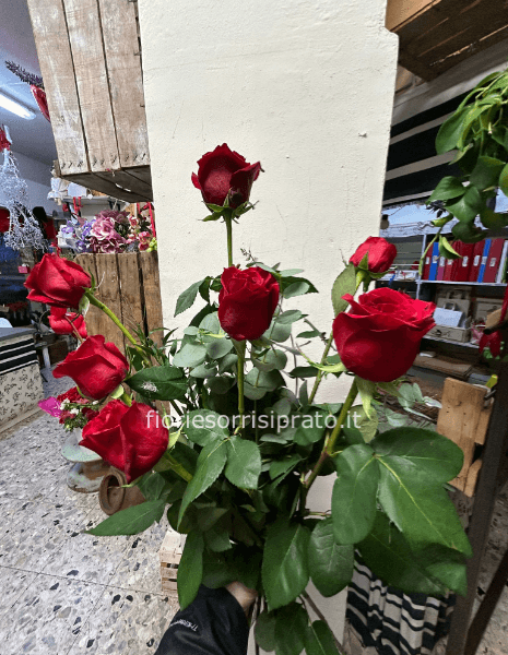 7 ROSE ROSSE A GAMBO LUNGO CONFEZIONATE