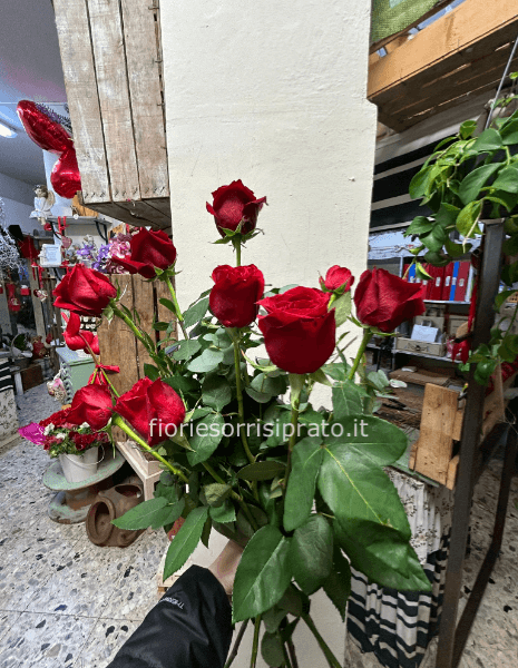 9 ROSE ROSSE A GAMBO LUNGO CONFEZIONATE