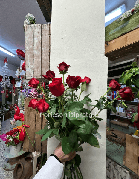 11 ROSE ROSSE A GAMBO LUNGO CONFEZIONATE