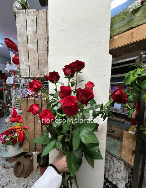 12 ROSE ROSSE A GAMBO LUNGO CONFEZIONATE