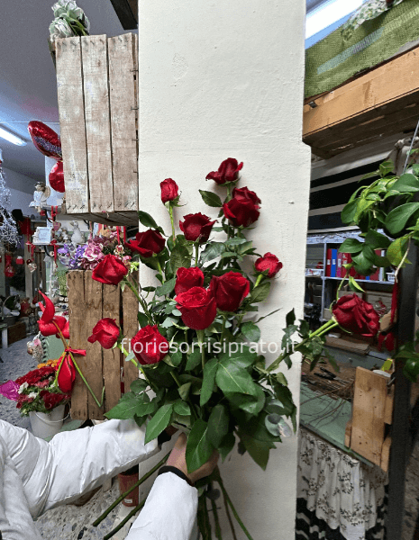 15 ROSE ROSSE A GAMBO LUNGO CONFEZIONATE