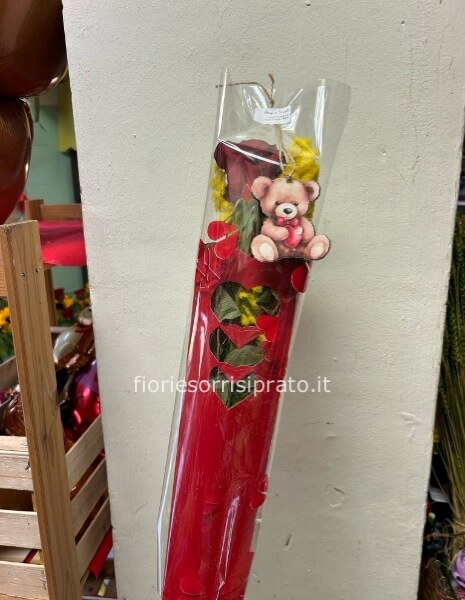 ROSA ROSSA CON MIMOSA E ORSETTO