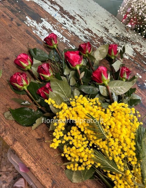 10 ROSE ROSSE CON MIMOSA 