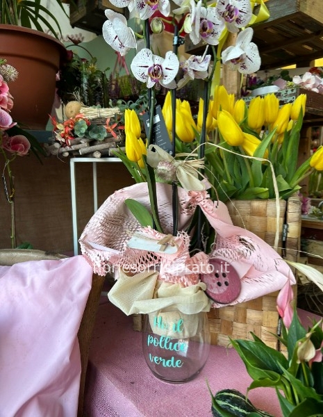 ORCHIDEA CON VASO PERSONALIZZATO 