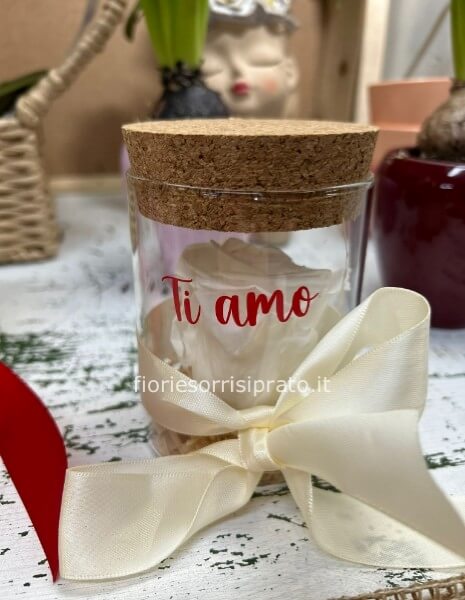 ROSA STABILIZZATA NEL VETRO 