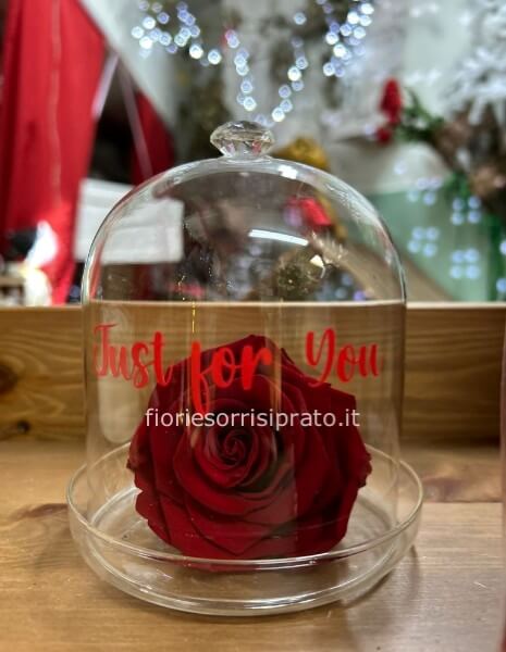 ROSA STABILIZZATA CON VETRO