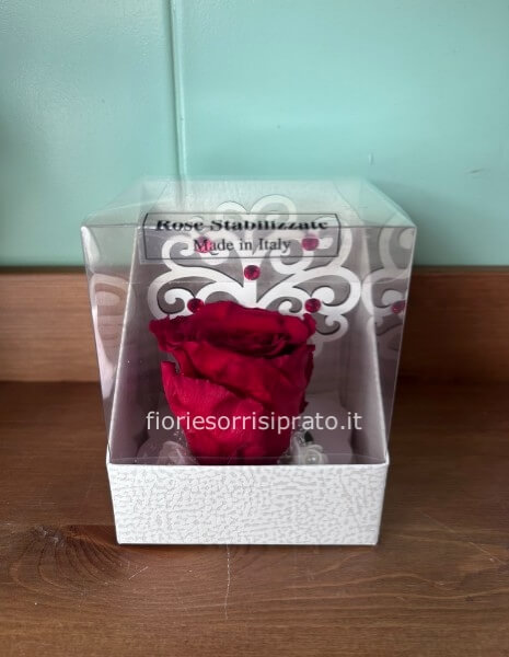 ROSA STABILIZZATA ROSSA CON ALBERO DELLA VITA