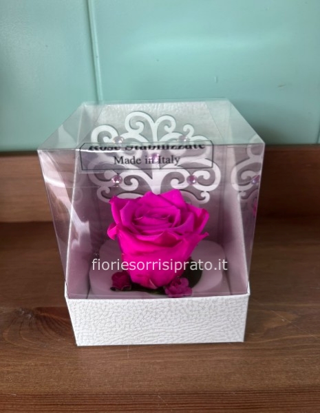 ROSA STABILIZZATA FUCSIA CON ALBERO DELLA VITA