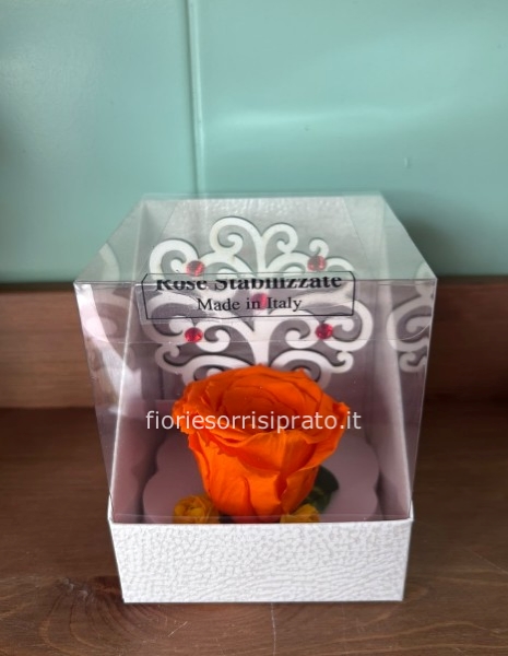 ROSA STABILIZZATA CON ALBERO DELLA VITA ARANCIONE